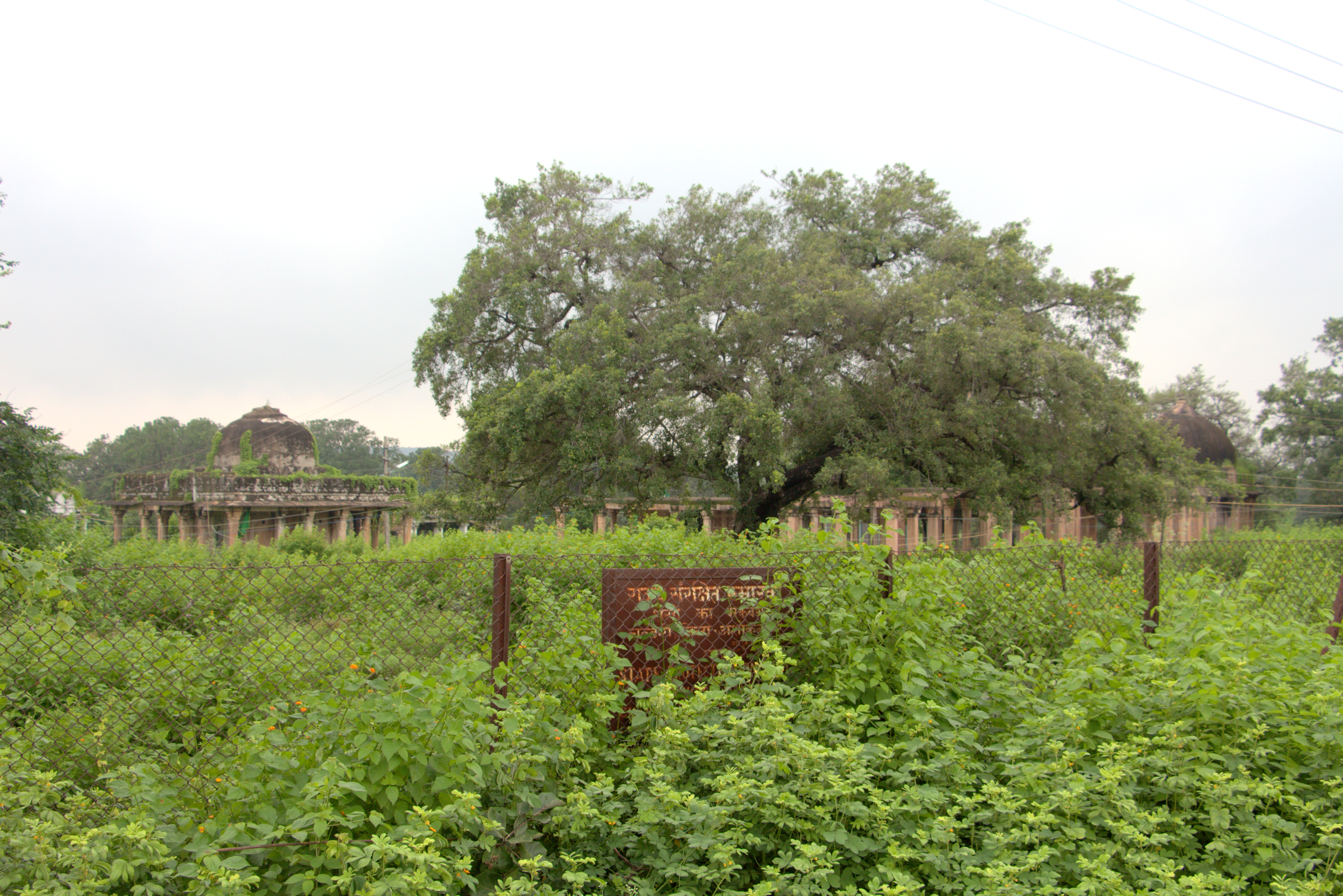 beauty-of-chanderi - Motamal Handlooms