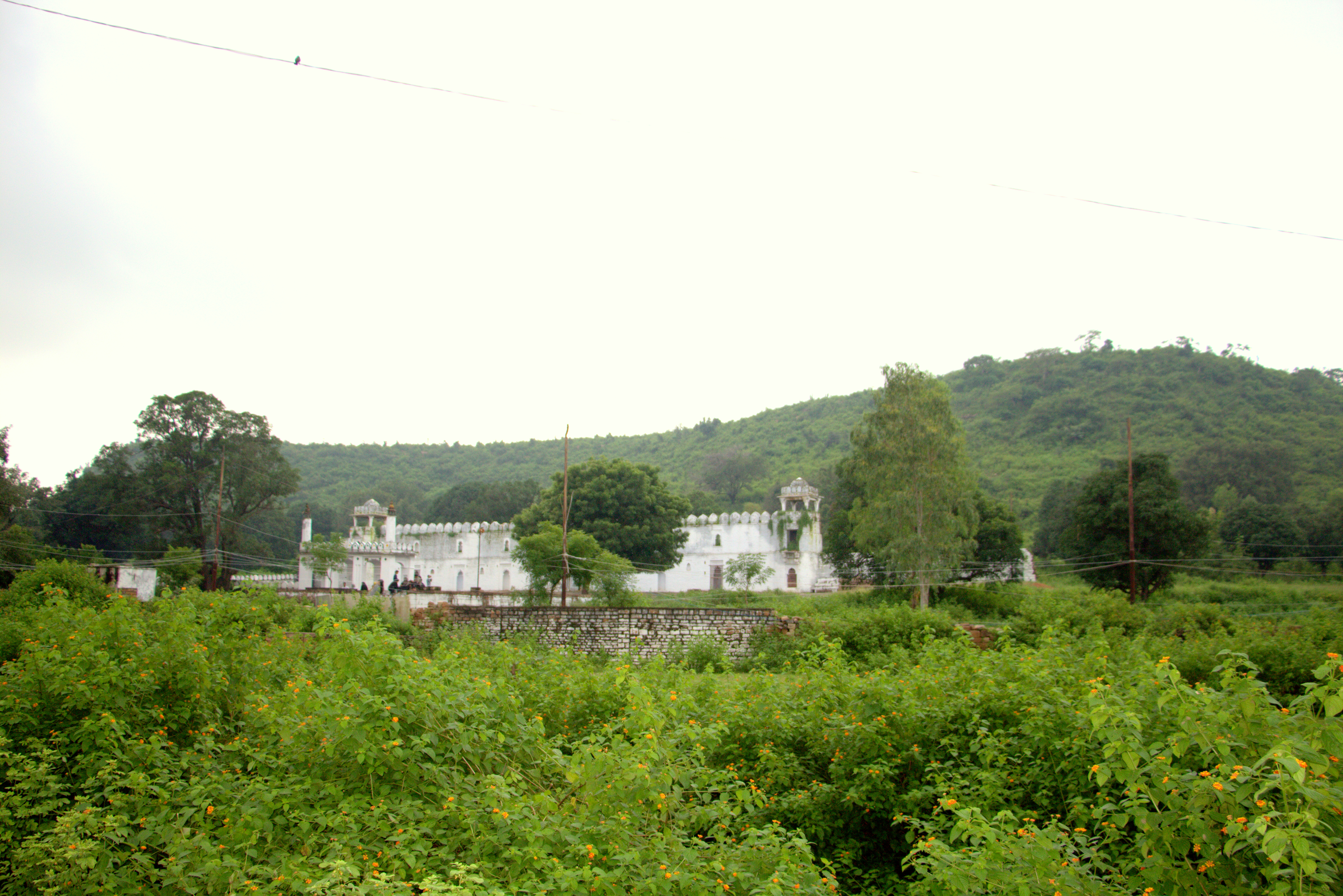 beauty-of-chanderi - Motamal Handlooms