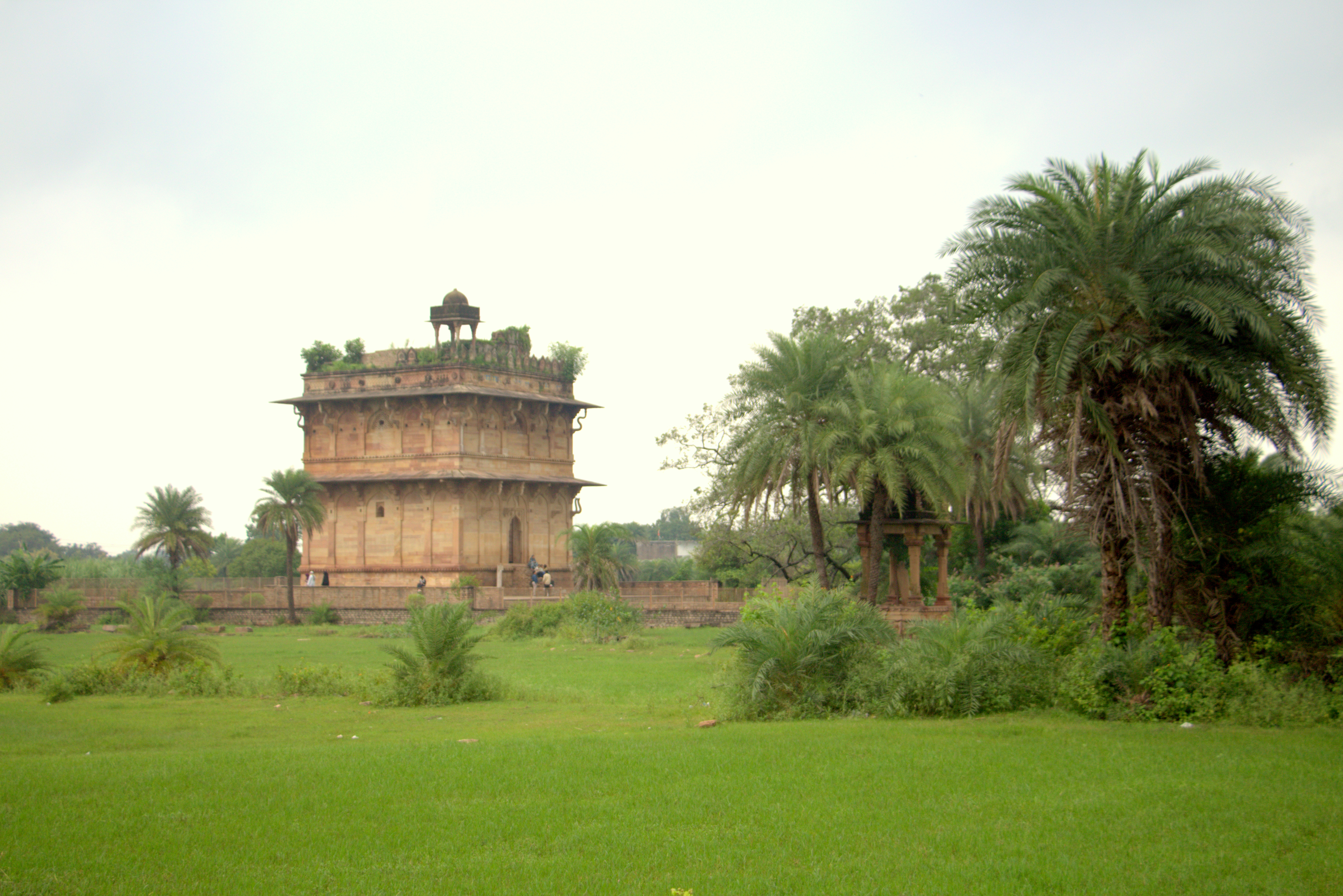 beauty-of-chanderi - Motamal Handlooms