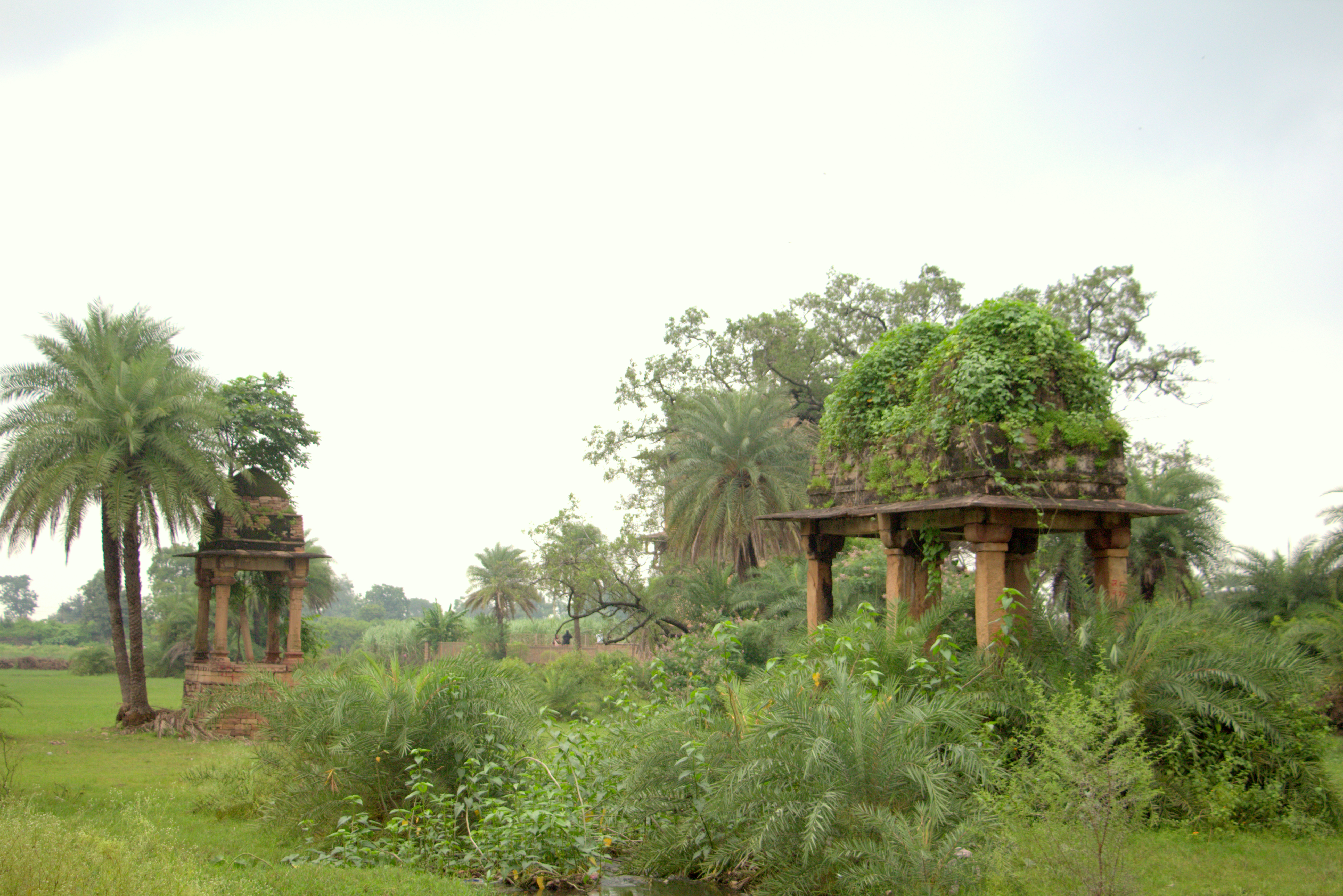 beauty-of-chanderi - Motamal Handlooms
