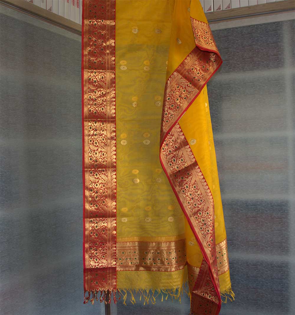 Chanderi Dupatta - Motamal Handlooms, Chanderi