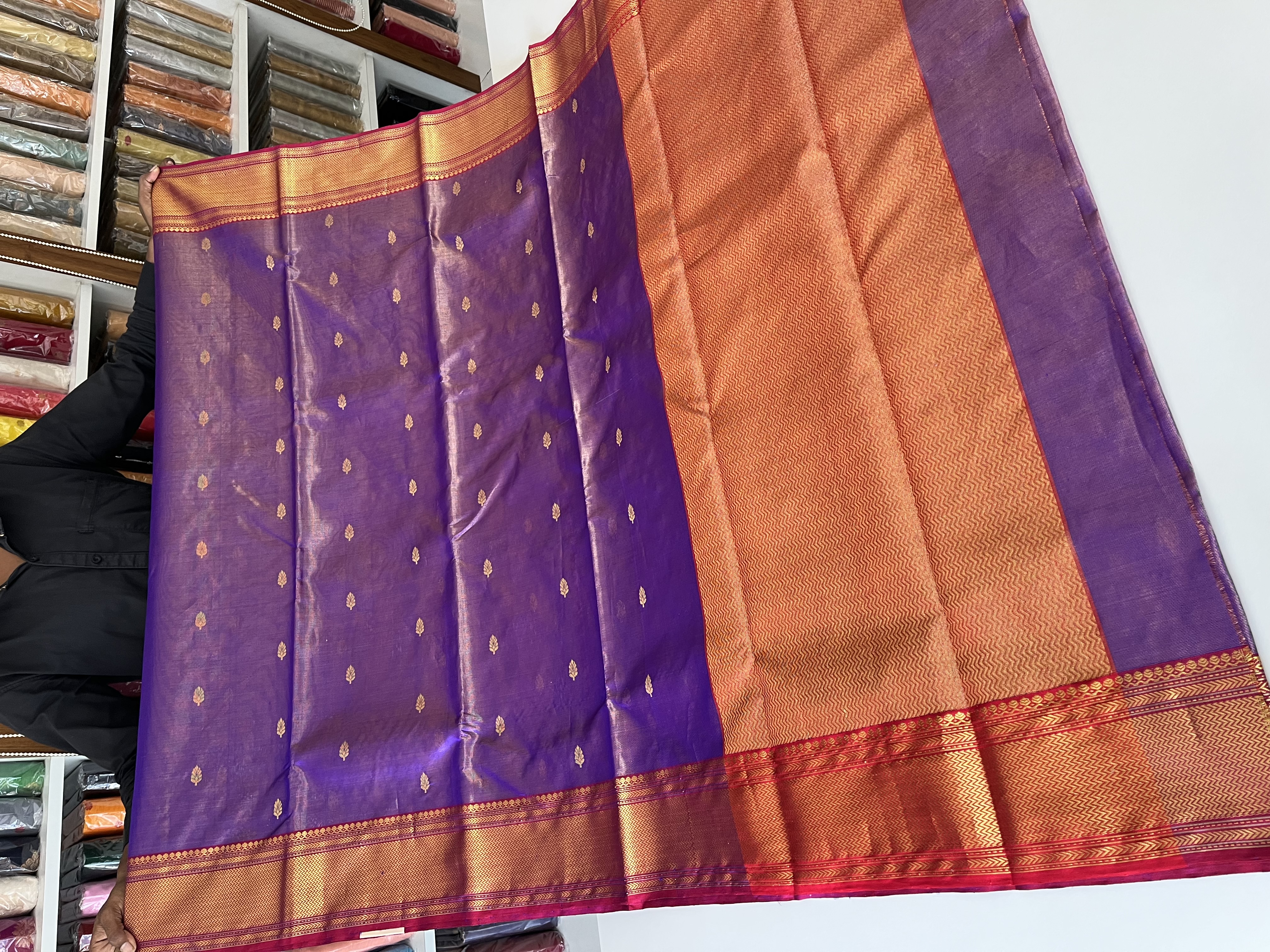 Chanderi Sarees — Design 96 - Motamal Handlooms, Chanderi