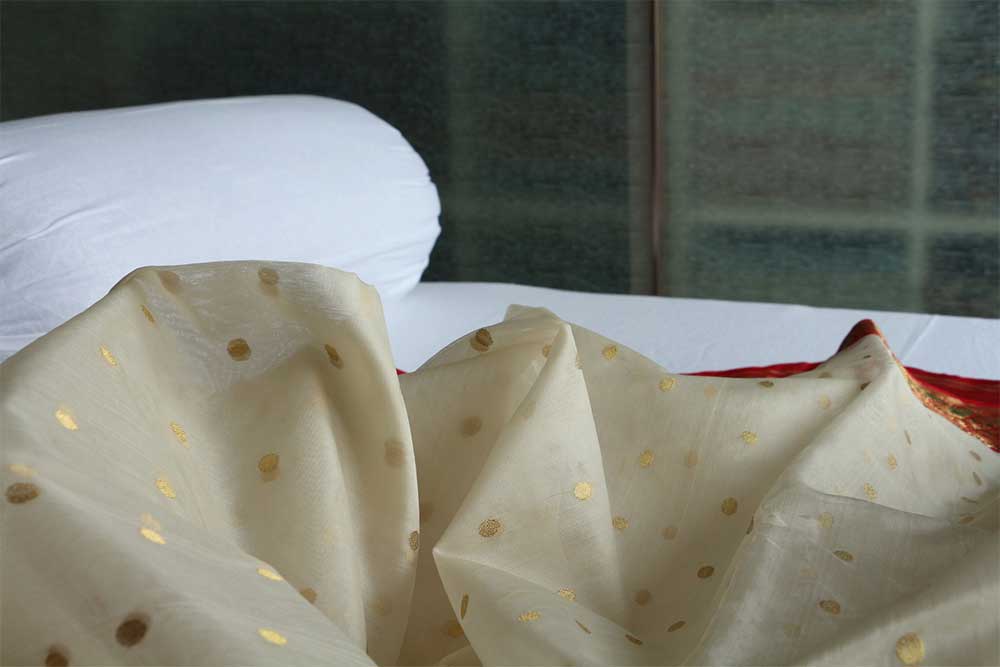 Chanderi Sarees - Motamal Handlooms, Chanderi