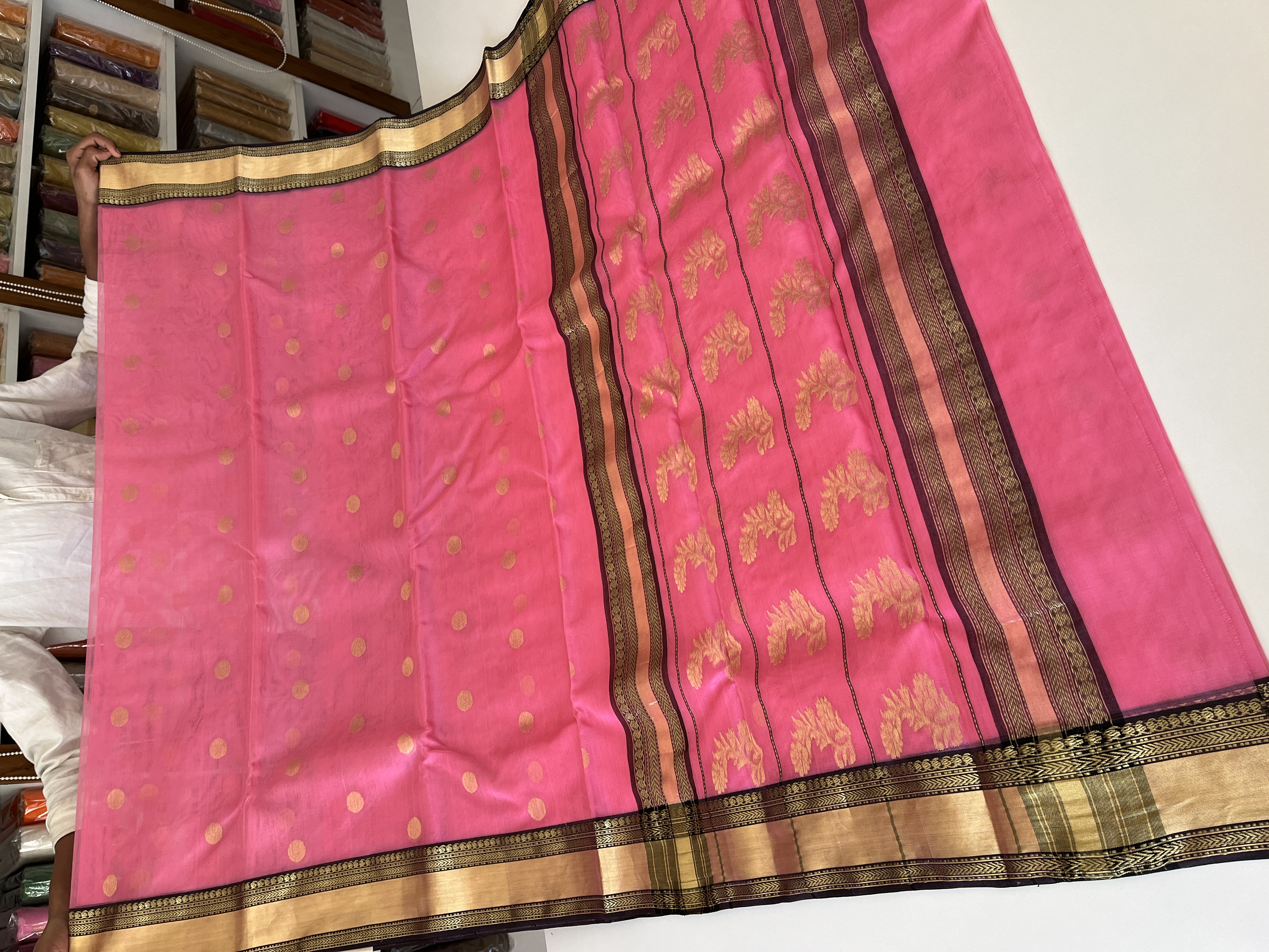 Chanderi Sarees — Design 63 - Motamal Handlooms, Chanderi