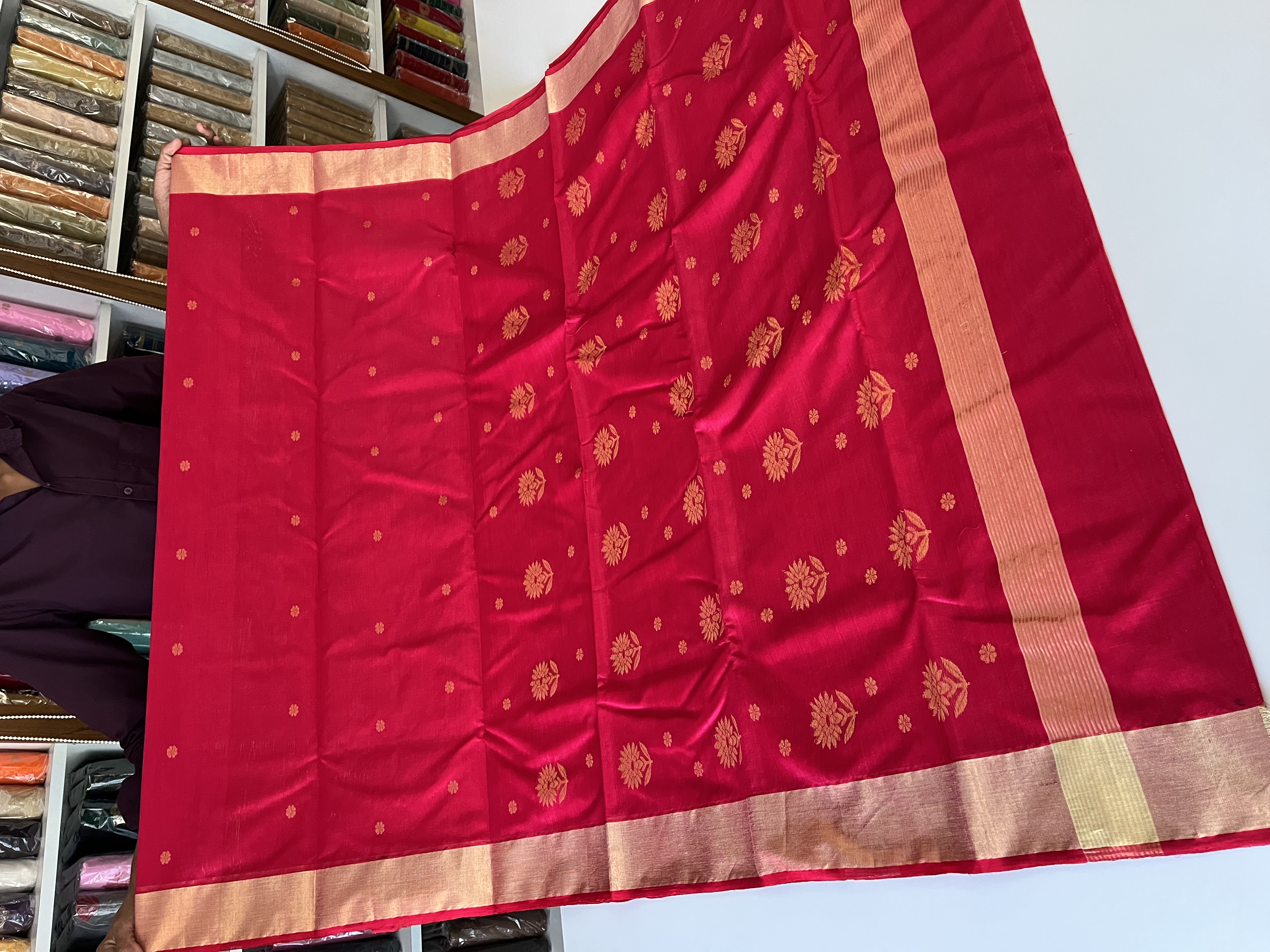 Chanderi Saree - Motamal Handlooms, Chanderi